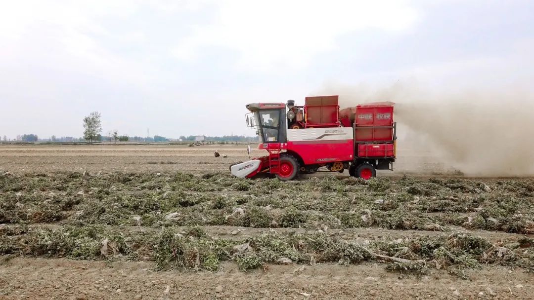 泰安東平呂新春:一小時(shí)作業(yè)十二畝 信賴(lài)中聯(lián)日進(jìn)斗金 泰安東平呂新春:一小時(shí)作業(yè)十二畝 信賴(lài)中聯(lián)日進(jìn)斗金(圖2)