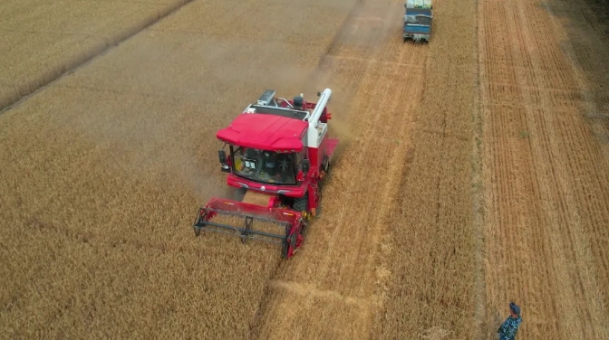 邯鄲魏縣常振明:我的
臺谷物聯(lián)合收割機——中聯(lián)收獲“新疆-9” xmsgj-1.png