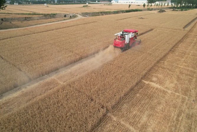 邯鄲魏縣常振明:我的
臺谷物聯(lián)合收割機——中聯(lián)收獲“新疆-9” xmsgj-2.png